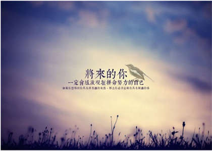 深圳大学考研资讯
